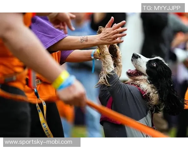马克西携爱犬挑战敏捷赛道现场观众热情高涨达15000人